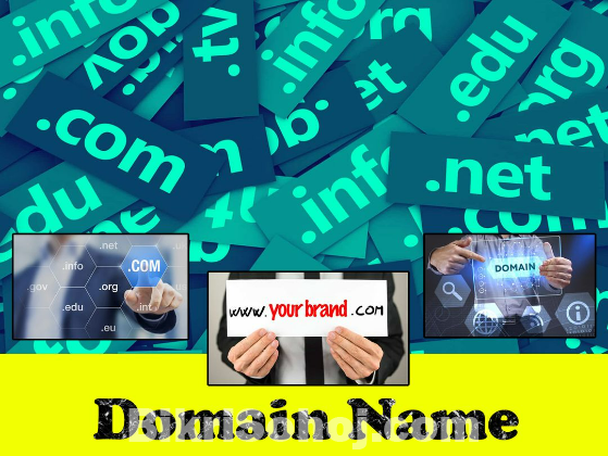 Domain Registration